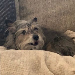 Meet your Posher, Sherry